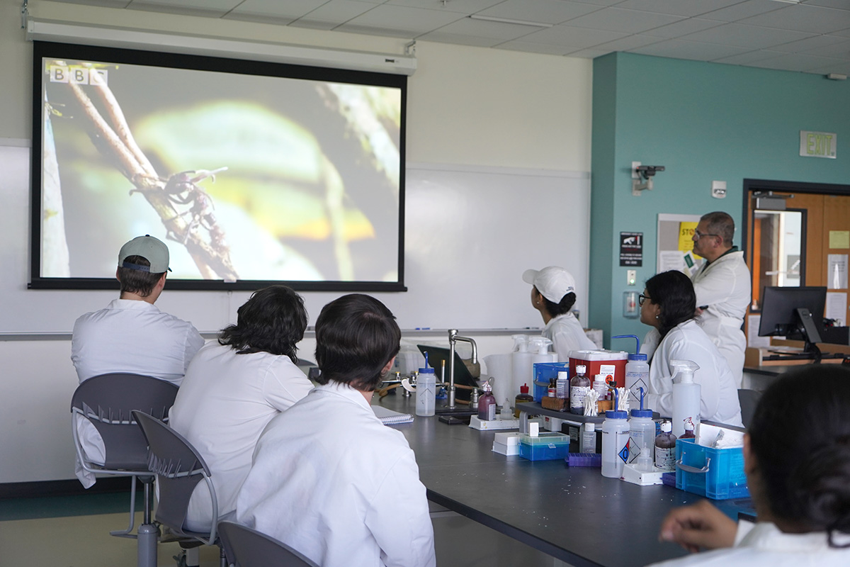 students facing video screen about ants infected