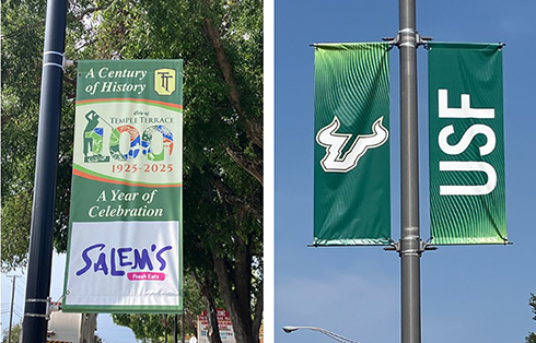 University of South Florida: A Preeminent Research University