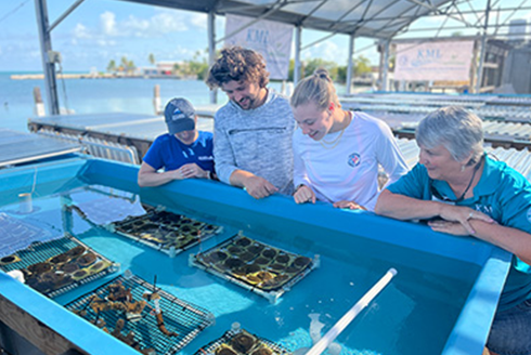 Group looks at coral babies at USF's Keys Marine Lab