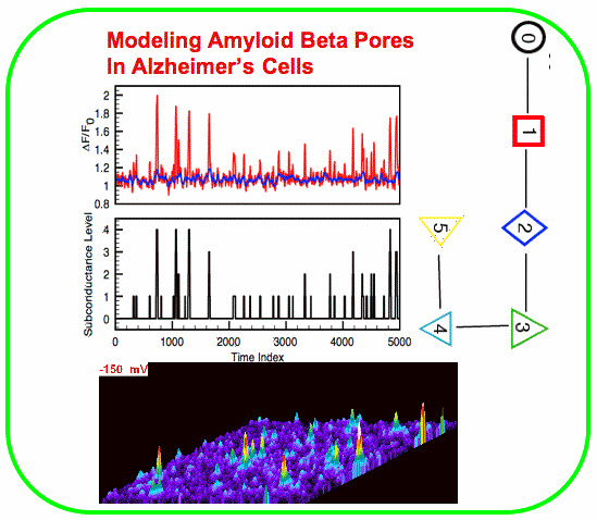 Modeling Amyloid Beta Pores
