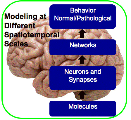 Modeling at Different Spatiotemporal Scales
