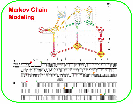 Markov Chain Modeling