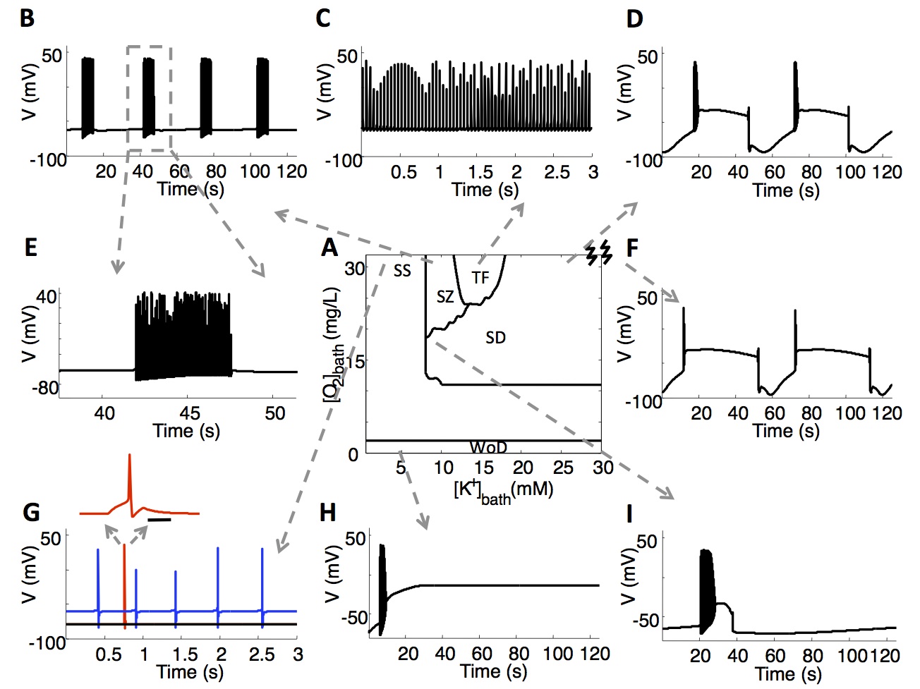 Summary figure from the paper