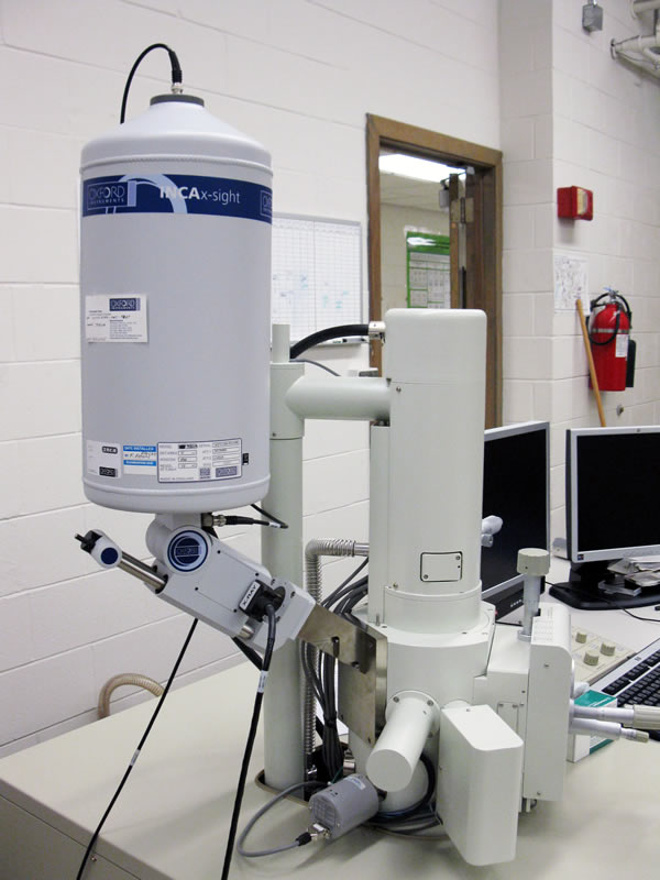 SEM with EDS detector