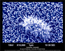 Science as Art