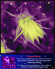 Science as Art