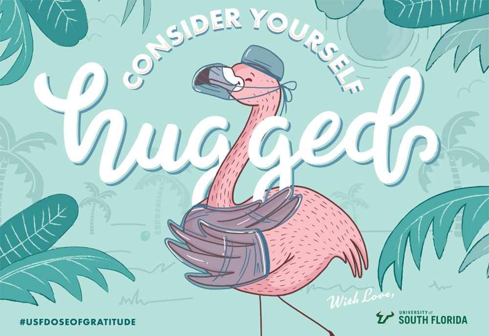 A graphic with a flamingo that says "Consider Yourself Hugged" from the University of South Florida
