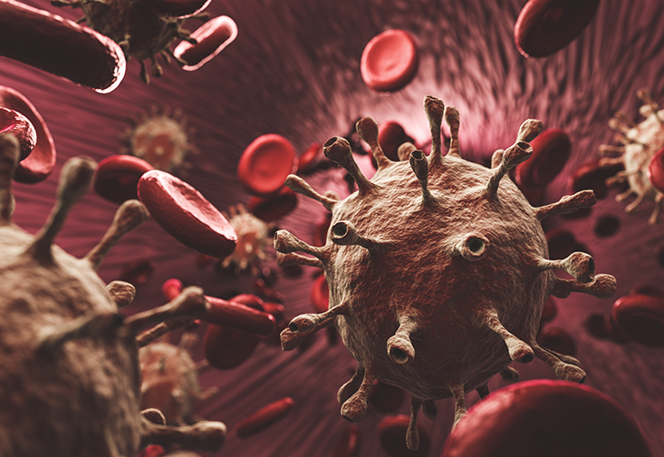 A stock graphic of the COVID-19 virus inside the bloodstream
